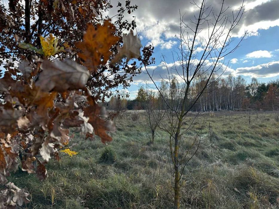 Продаж  ділянки 38,36сот.(25 сот під забудову+13,36ОСГ)Почепин.ID:732