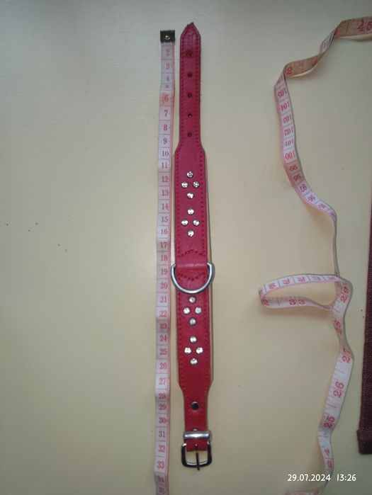 Продам Ошейник, кожа.