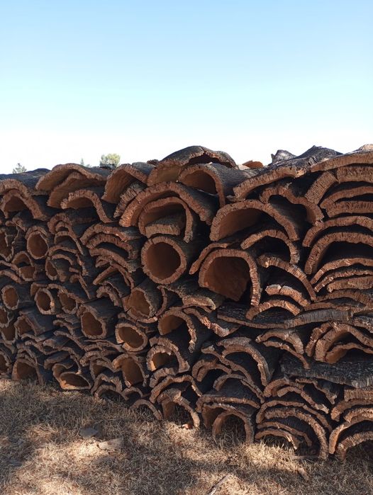 Cortiça amadia em pilha