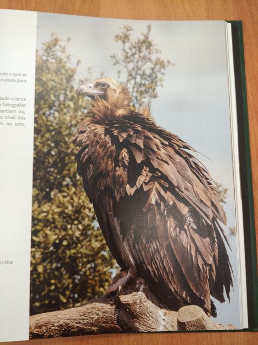 Livro "Aves necrófagas da Península Ibérica" (2016)