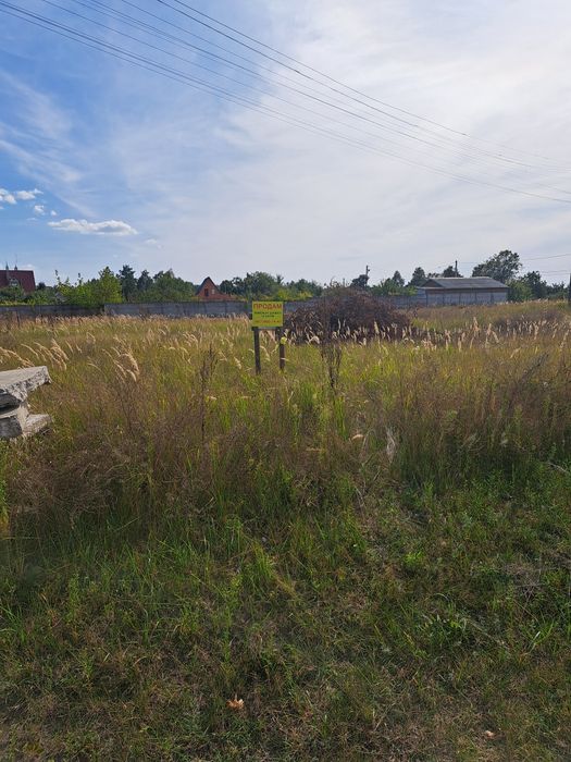 Участок Боромыки на берегу Десны