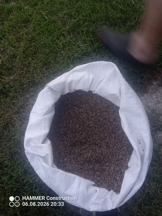 Saladera  seradela