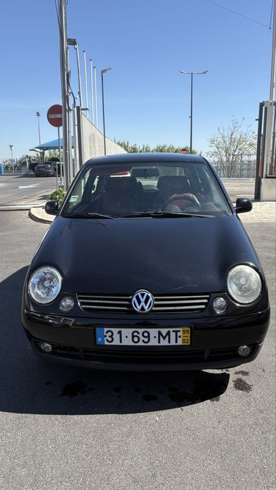 Lupo interior em pele