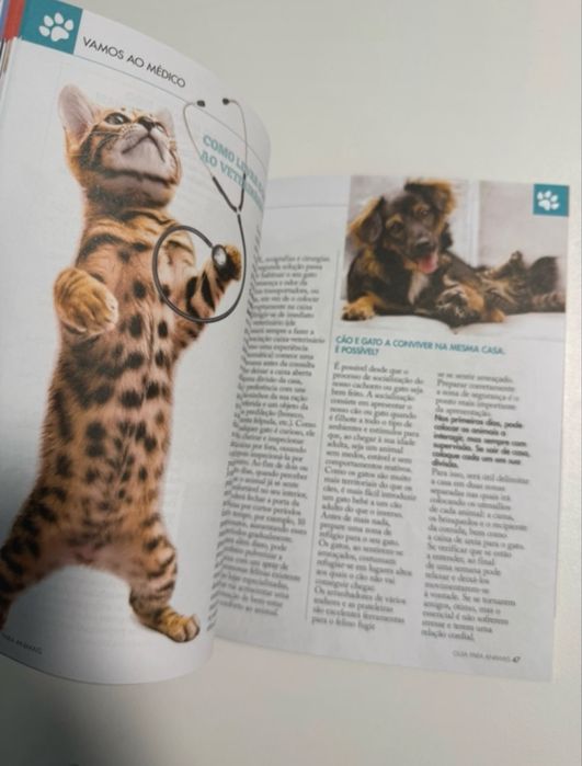 Livro Guia para Animais de Estimação