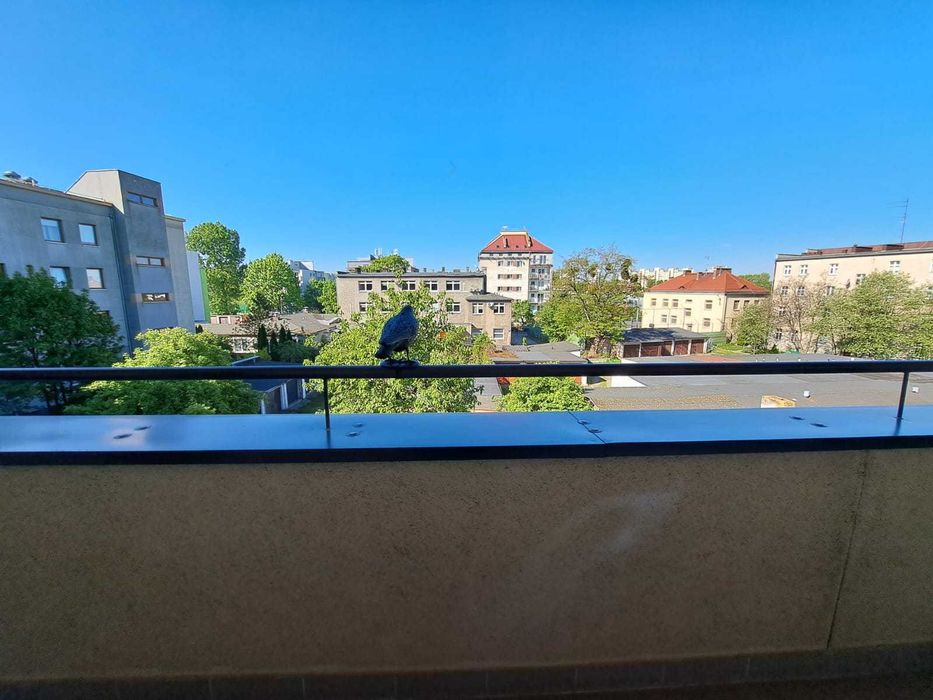 Mieszkanie Nadodrze, blisko Rynku - Widok 6