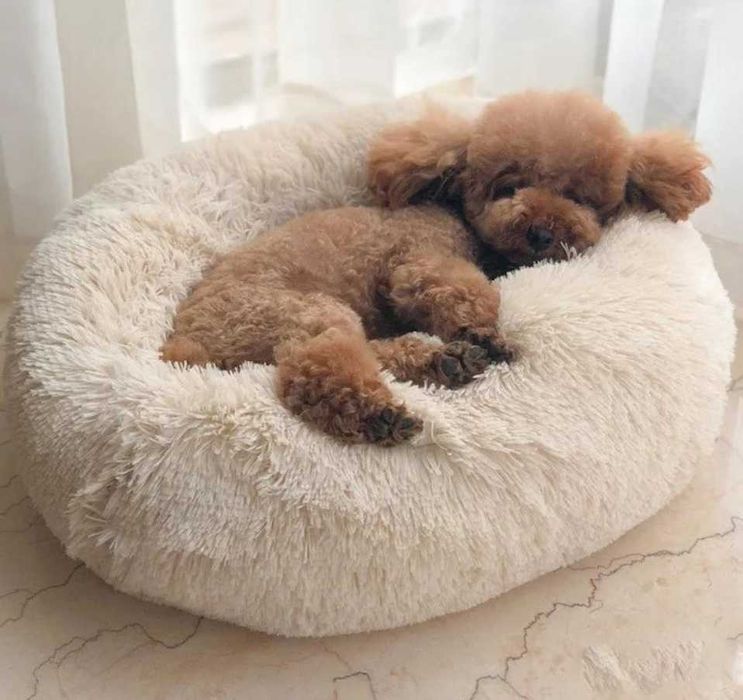 Лежанка ТОП! Об'ємна М'яка Тепла Бежевий котик собачка до9 кг. д.55см