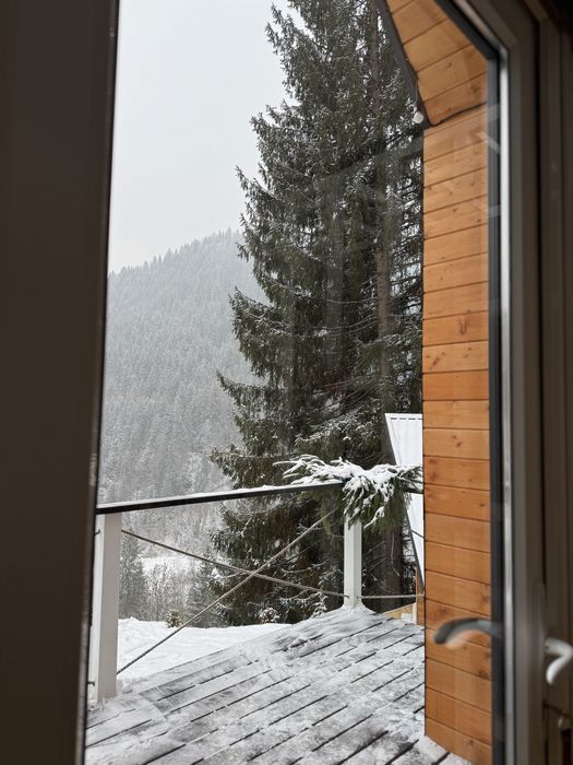 БУДИНОЧКИ В КАРПАТАХ | Королівське місце | ЧАН