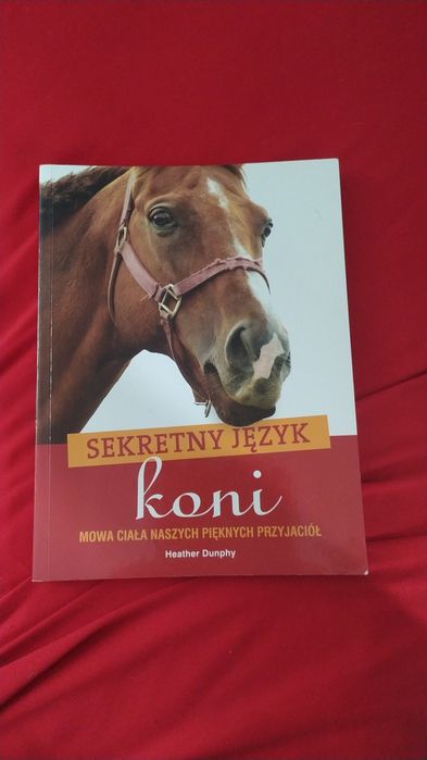 ,, Sekretny język koni"