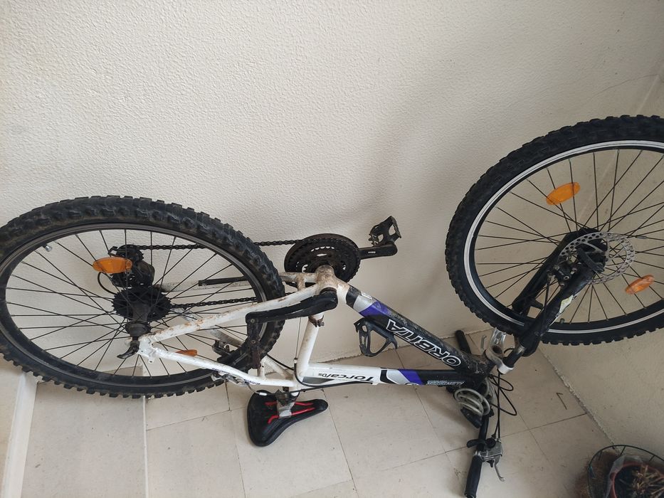 Bicicleta orbita