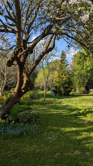 Sprzedam dom w Kotlinie Klodzkiej