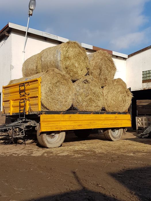 Siano w belach baloty rolki