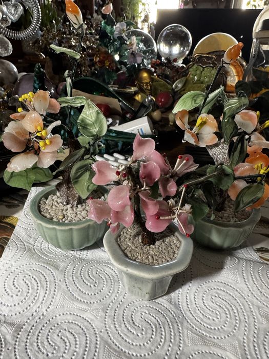 Ozdobne drzewka bonsai