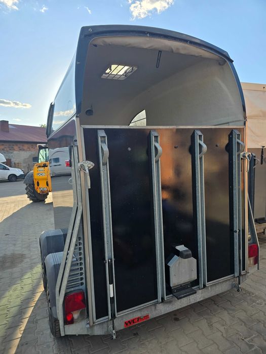 Przyczepa do koni Bockmann Big Master
