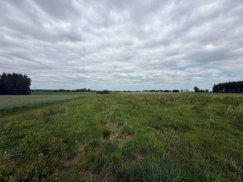 Działki z MPZP Nużewo - Widok 3