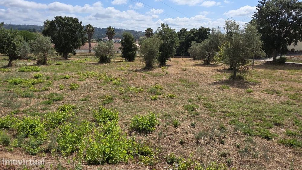 Terreno de Construção de Moradia