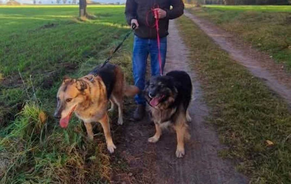 Matka z synem szukają domu