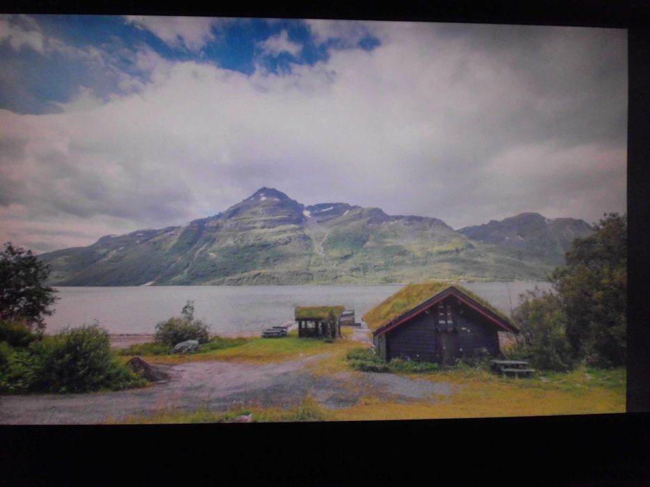 Monitor LCD Samsung 2233SN 21,5 " 1920 x 1080 px działający