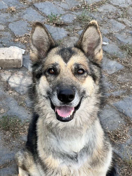 Лали ищет семью