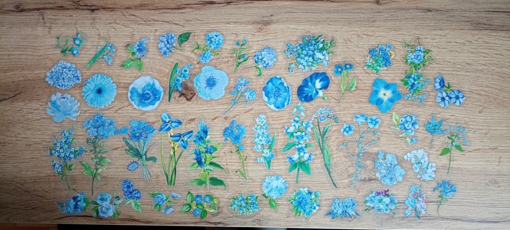 Naklejki do księgi gości, niebieskie kwiaty