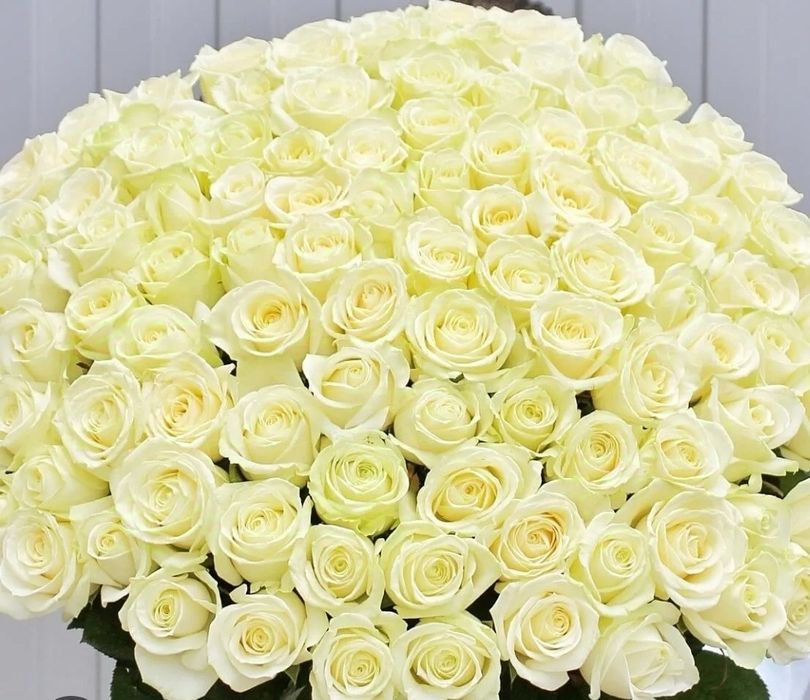 Акция роза и тюльпаны 51,101 букеты