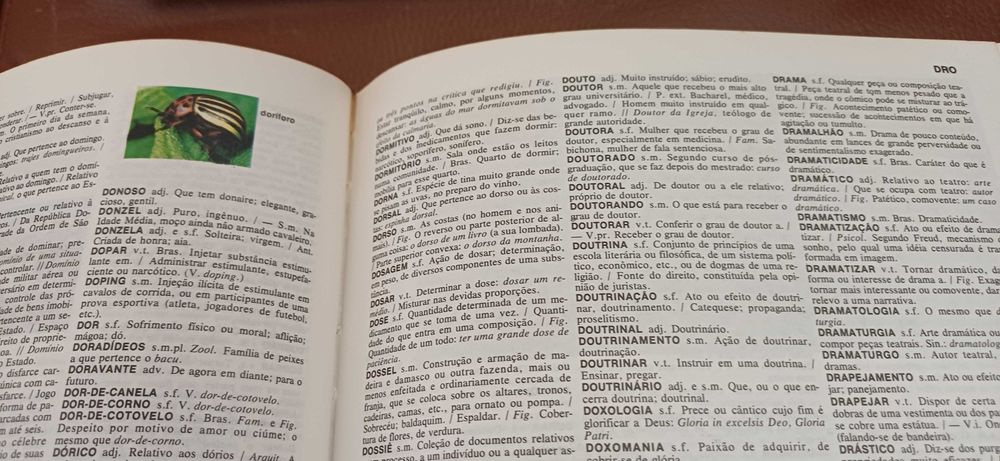 Dicionário Enciclopédico – 3 Volumes