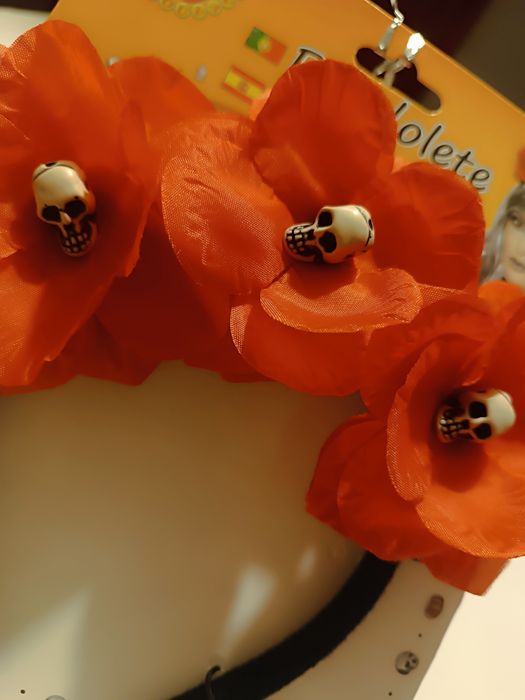 Fantásia com Caveiras. Carnaval ou Halloween