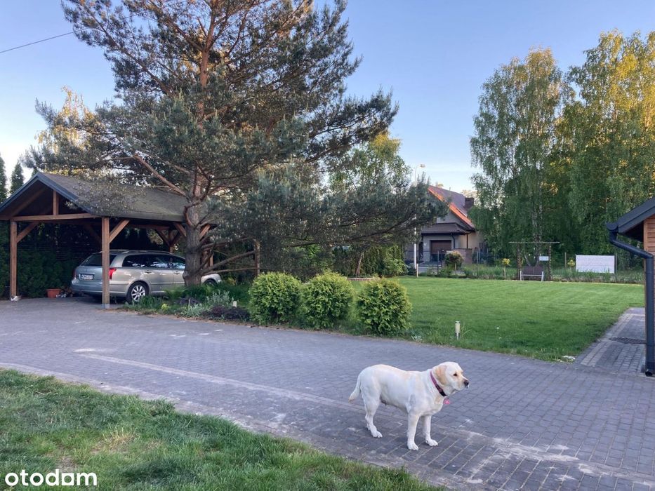 Parterowy dom 150 m² - 1000 m² działki  - 2 garaże - bezpośrednio