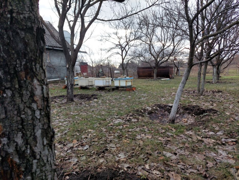 Улики из пенополистирола, ульи пенополистироля, и деревянные вулики