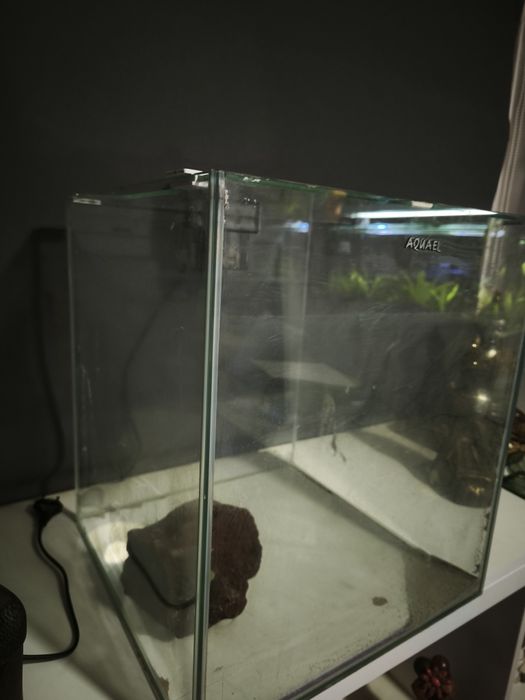 Vendo aquário em excelente estado
