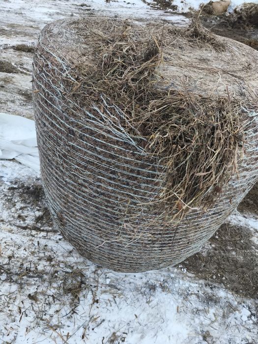 Sianokiszonka konieczynaz trawą sianą