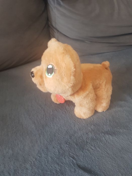 Chodzacy i grajacy miś