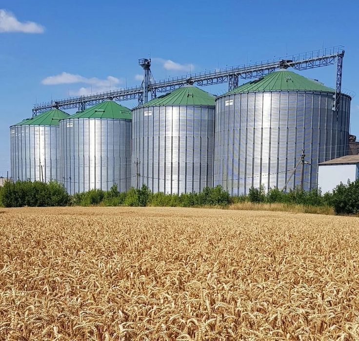 Покупаем силосы для хранения зерна