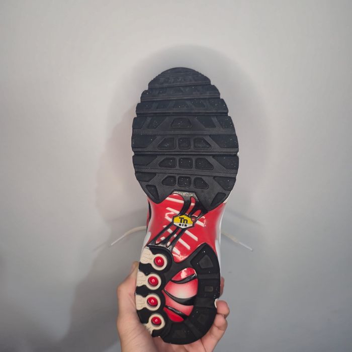 Nike air max plus tn