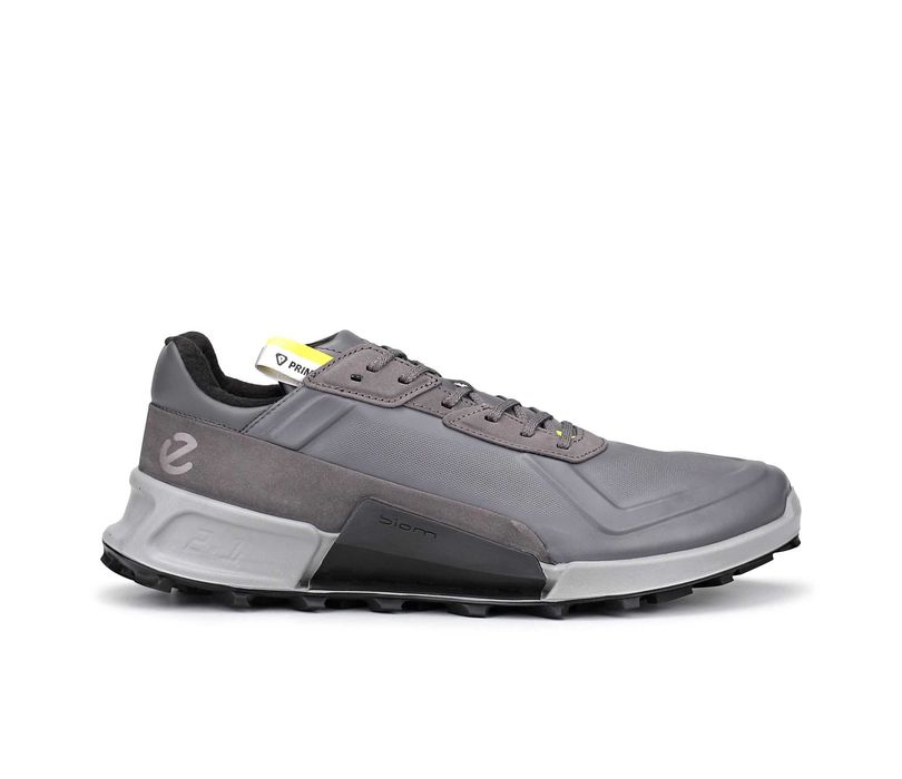 Кроссовки ECCO  Biom 2.1 x Mountain. Оригинал. Р 42, 43