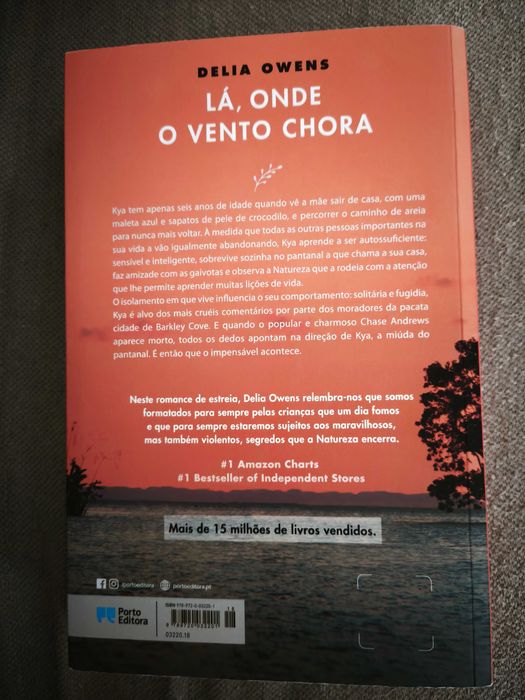 Livro recente e como novo