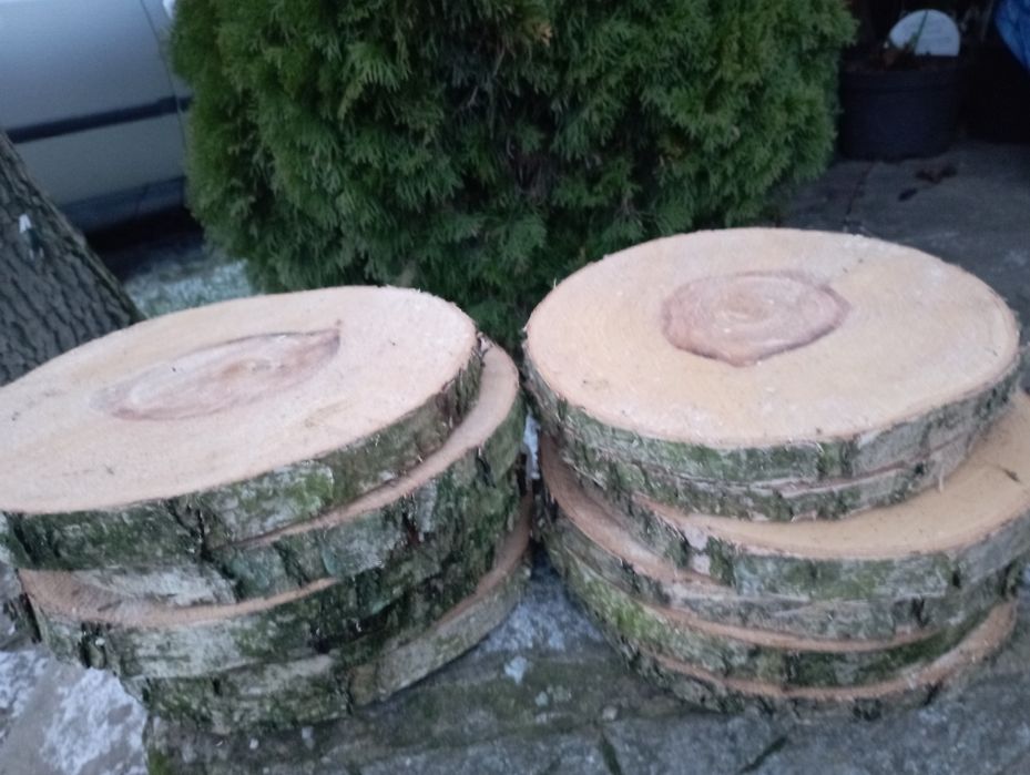 Plastry z brzozy, krążki drewna