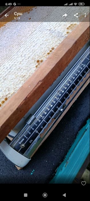 Продам рамки с медом и суш