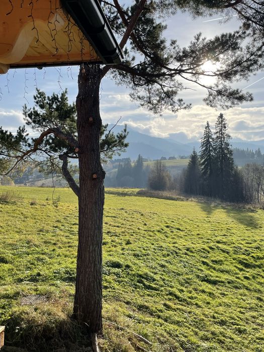 Ferie wolny domek  w górach z widokiem na Tatry dla 7 osób Kościelisko