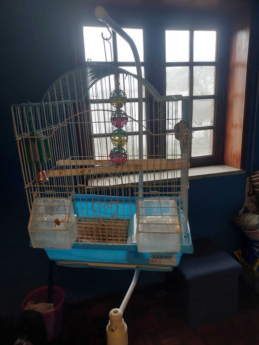 Gaiola com suporte - grátis