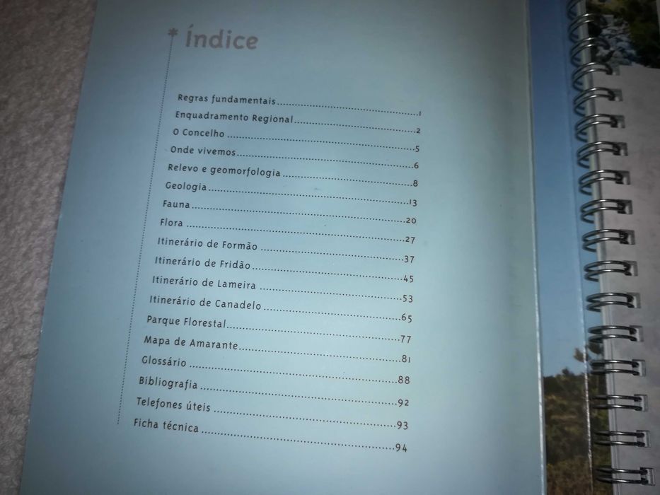 amarante (roteiro natural) 2001 livro