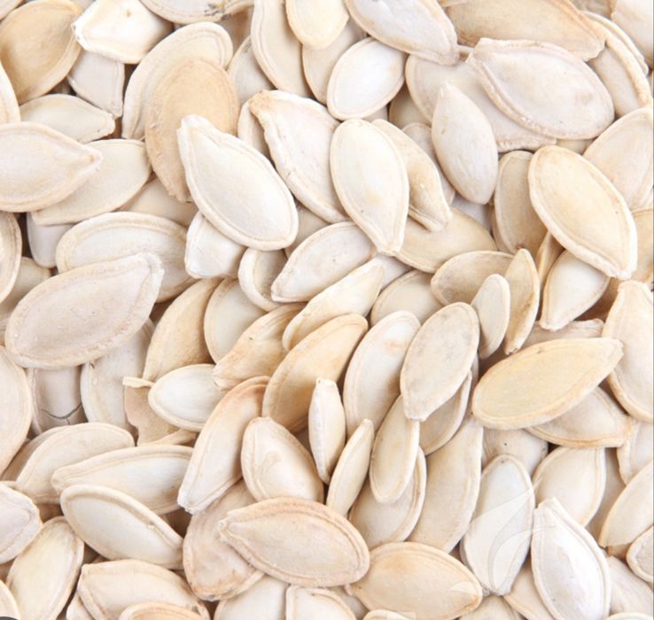 Насіння гарбуза від 1 кг, є олх доставка