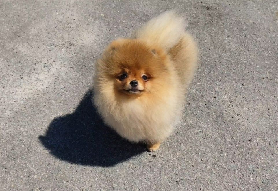 Дуже гарний хлопчик