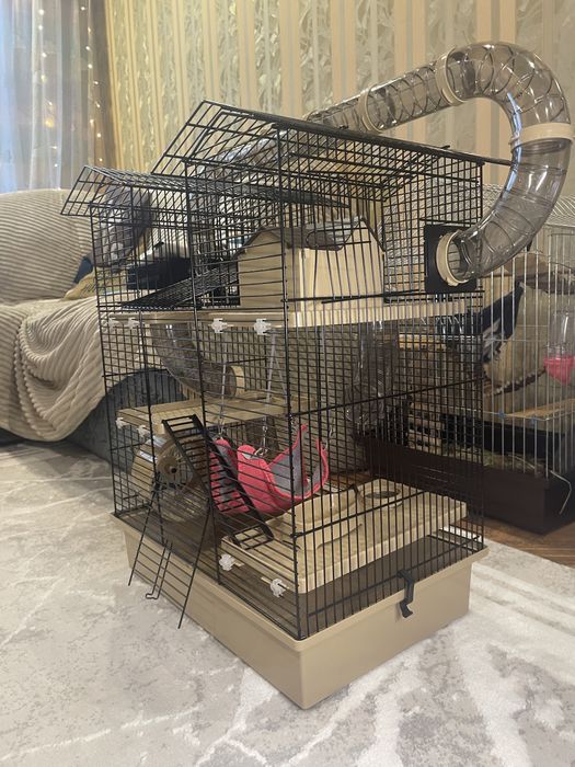 Клетка для грызуна