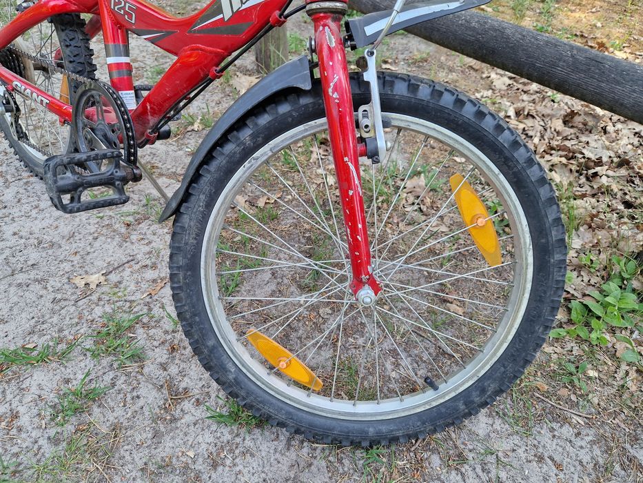Rower dziecięcy Giant 20"