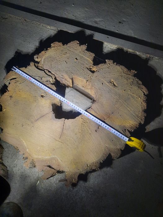 Plastry/ krążkiakacji