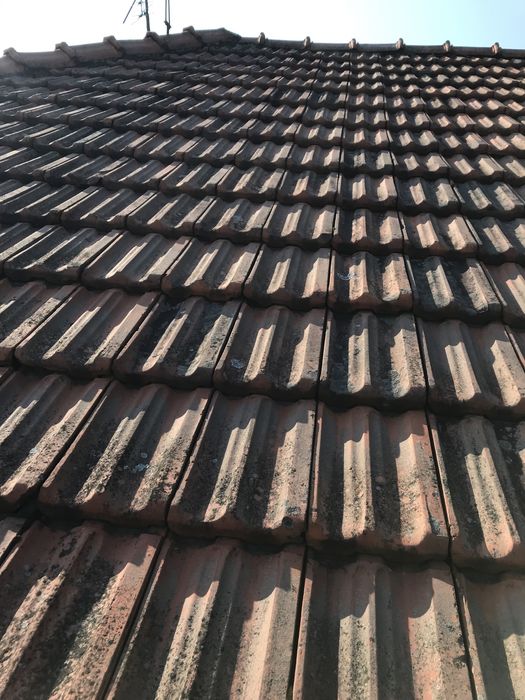 Продам б/у дахівку, і  гусаки 43штуки.Дахівки  орієнтовно 1500штук.