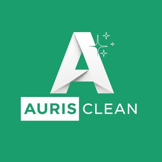 Генеральне прибирання квартир у Вінниці за 1 день — професійний клінінг з індивідуальним підбором засобів