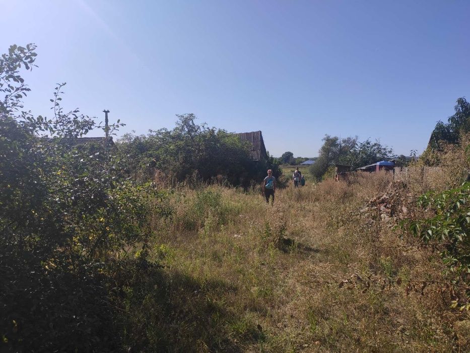 Продається господарство в центрі Котельва