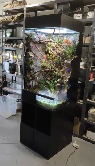 Zestaw terrarium