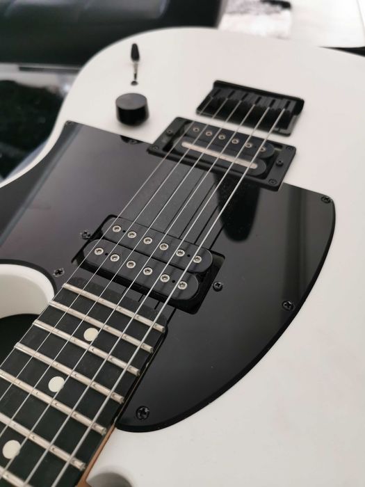 Fender Jim Root Telecaster Flat White
